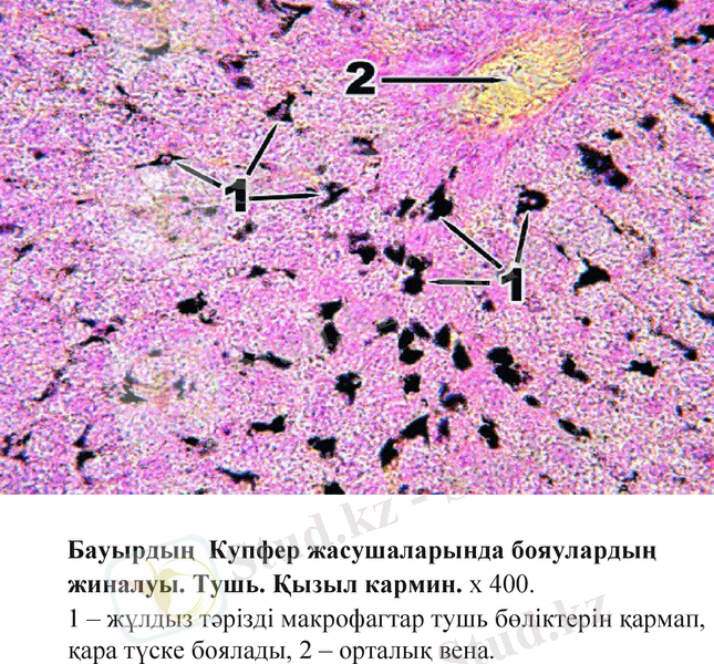 Slide 21