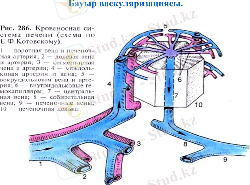 Slide 22