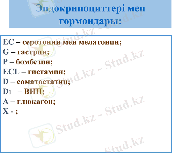 Slide 7