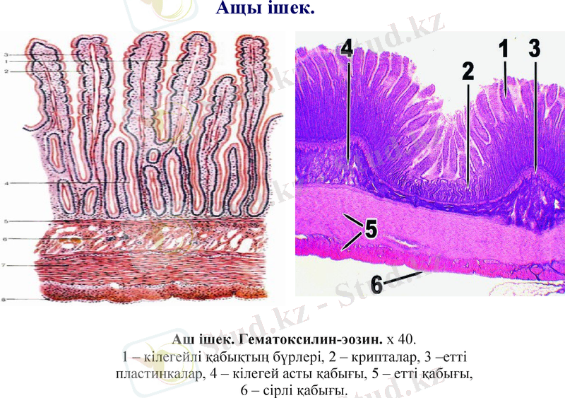 Slide 9