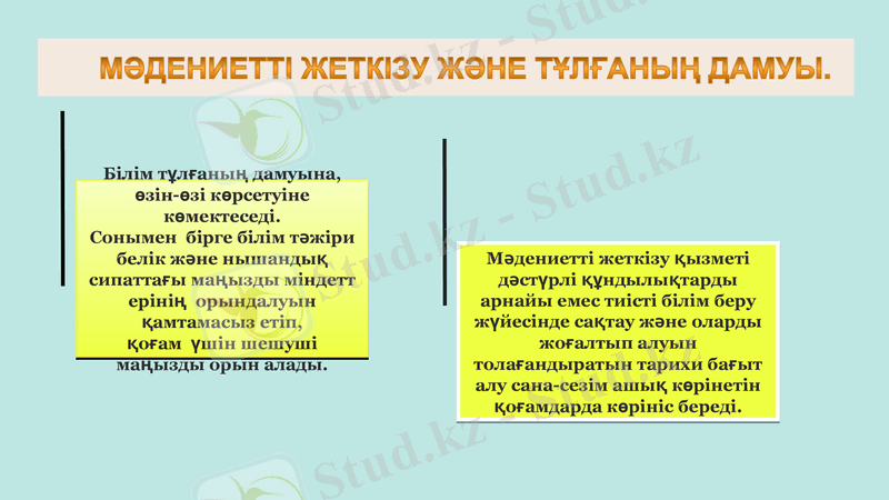Slide 9