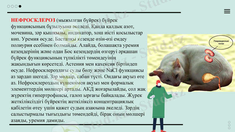 Slide 6