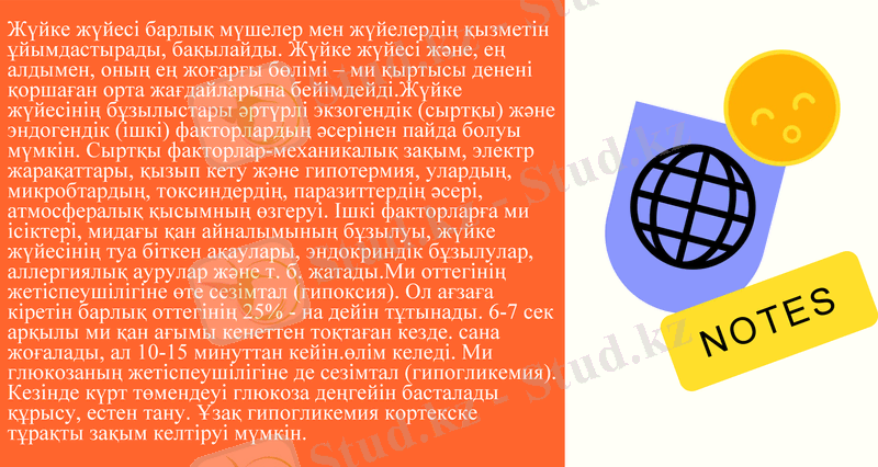 Slide 7