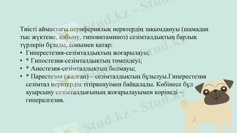 Slide 8