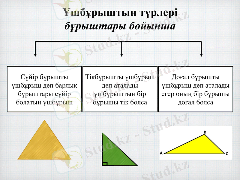 Slide 6
