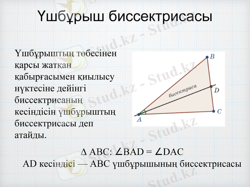 Slide 8
