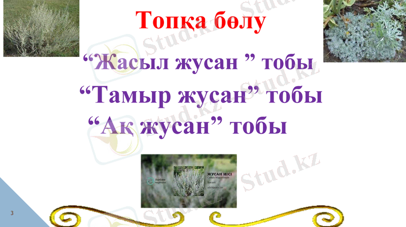 Slide 3