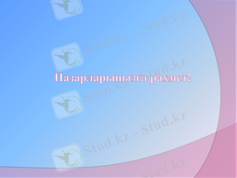 Slide 7