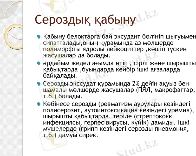 Slide 12