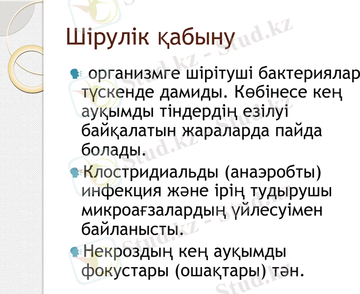 Slide 19