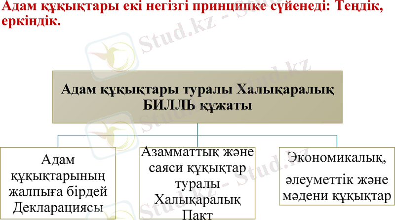 Slide 10