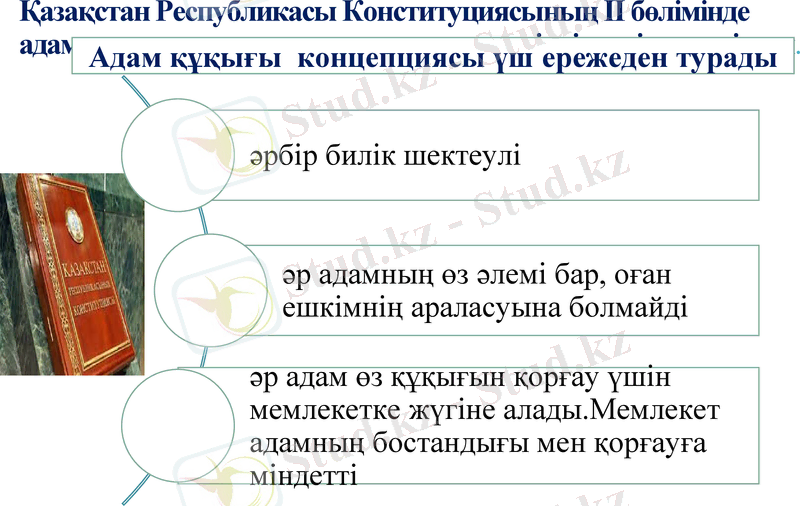 Slide 11