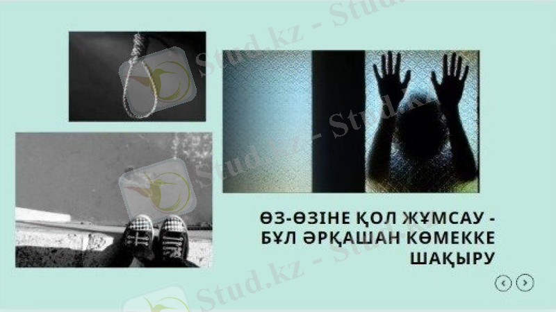 Slide 10