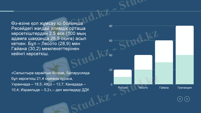 Slide 11