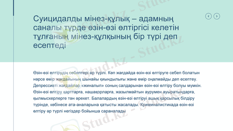 Slide 8