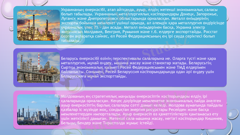 Slide 6