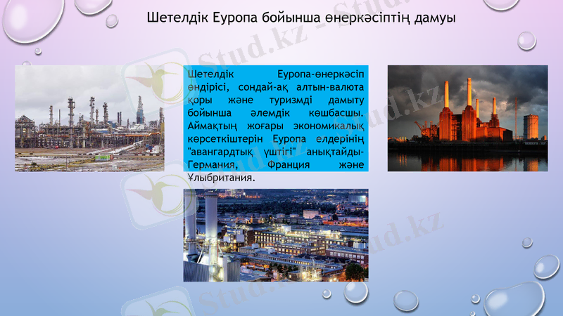 Slide 7