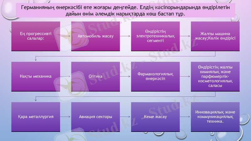 Slide 8