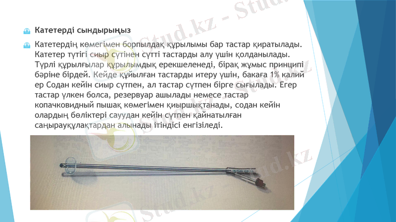 Slide 7