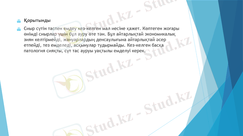 Slide 8