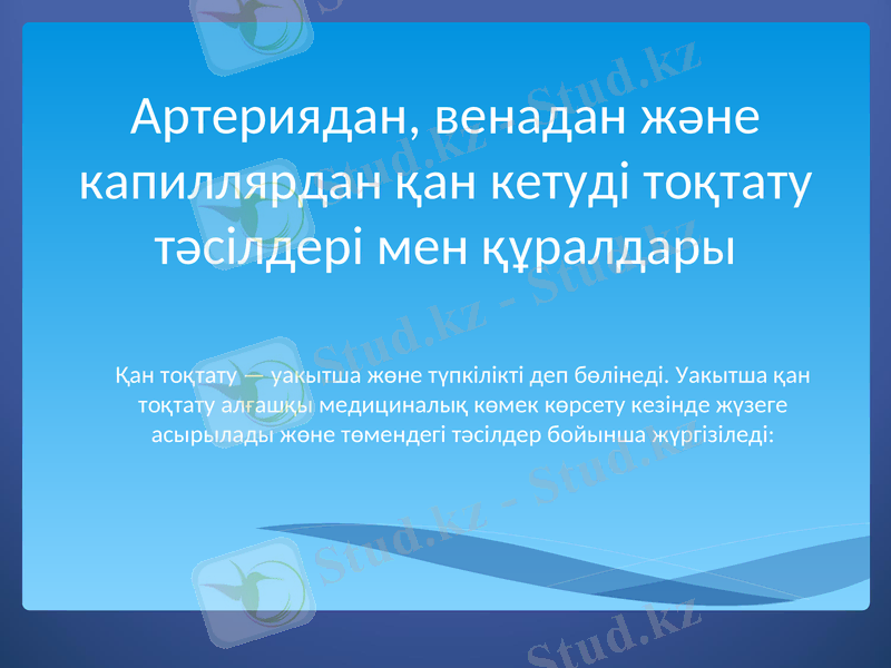 Slide 13