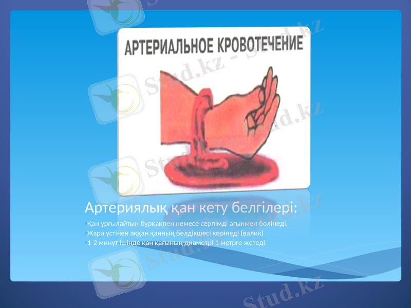 Slide 6
