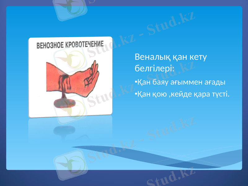 Slide 7