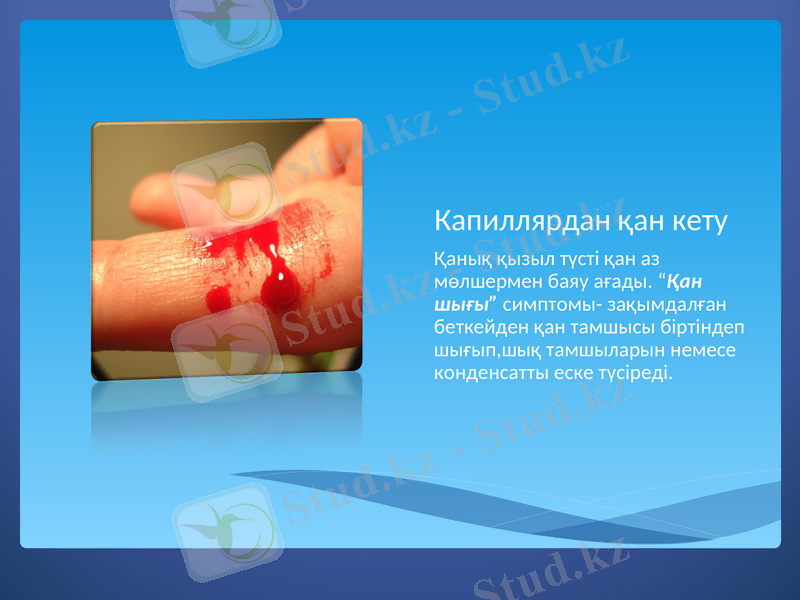 Slide 8