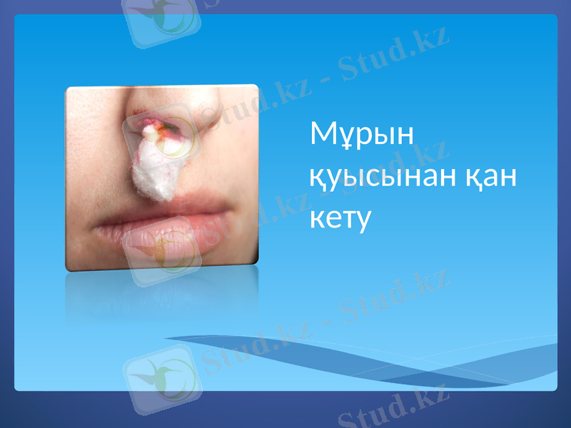 Slide 9