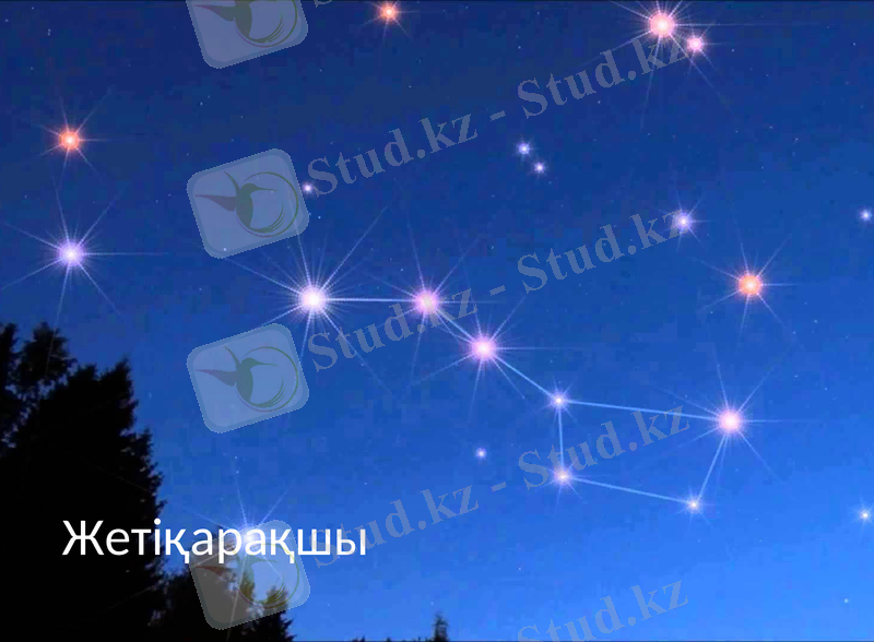 Slide 10
