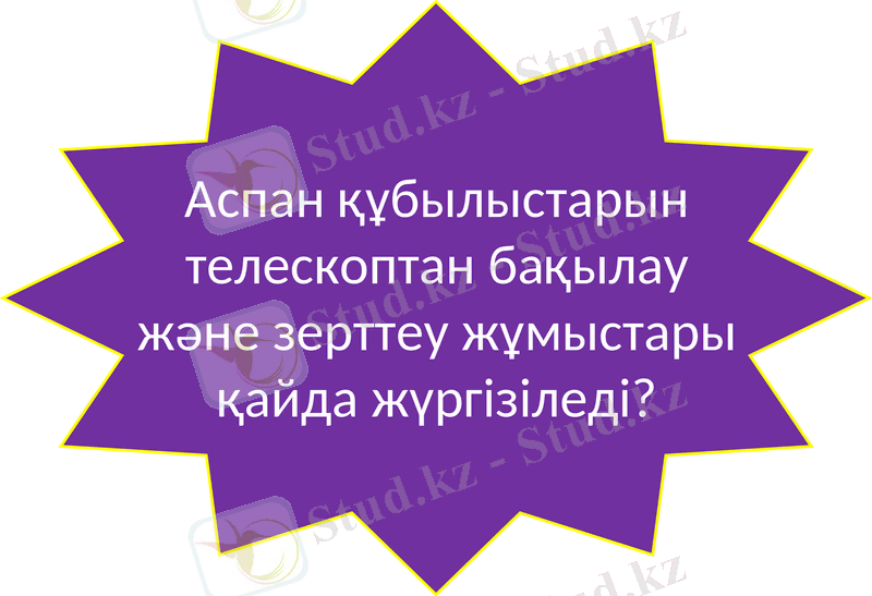 Slide 11
