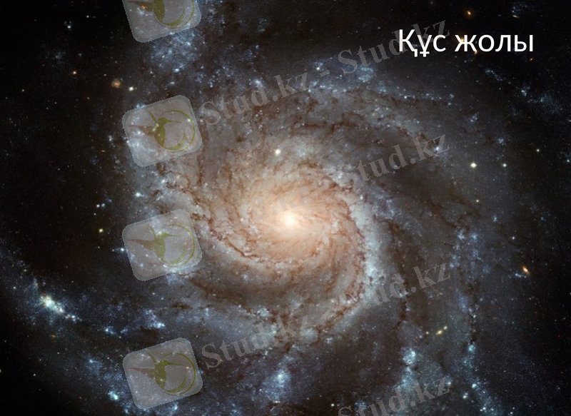 Slide 14