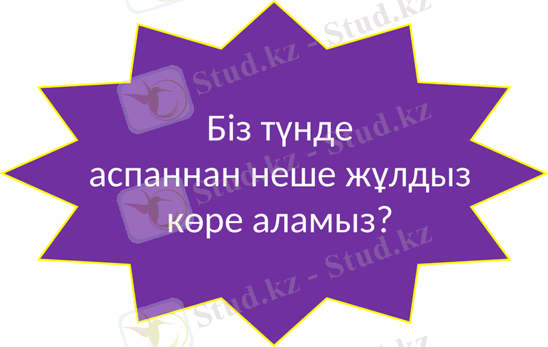 Slide 23