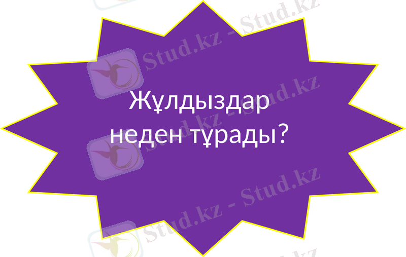 Slide 7