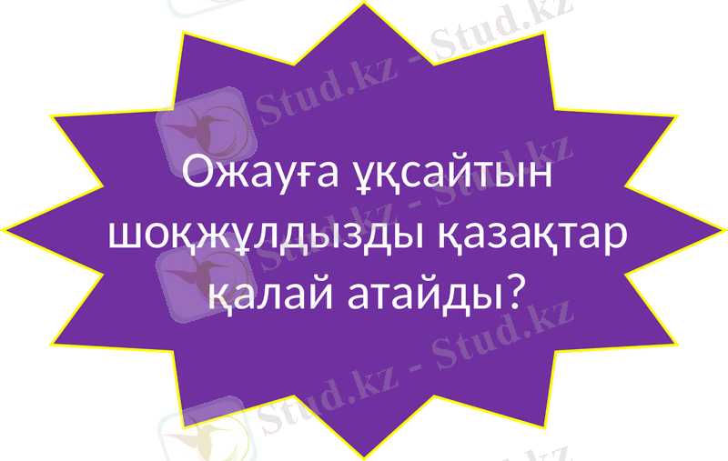 Slide 9
