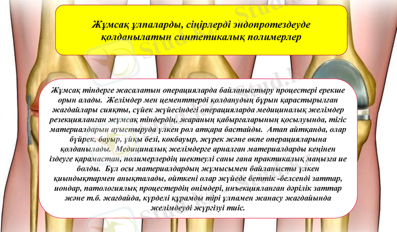 Slide 10