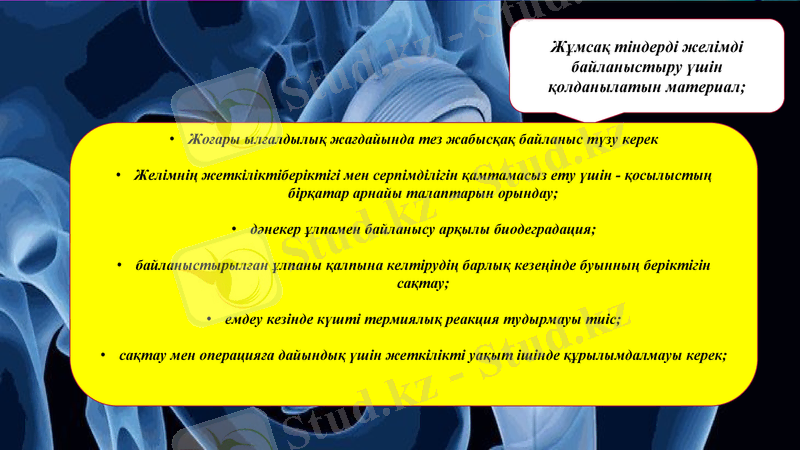 Slide 11