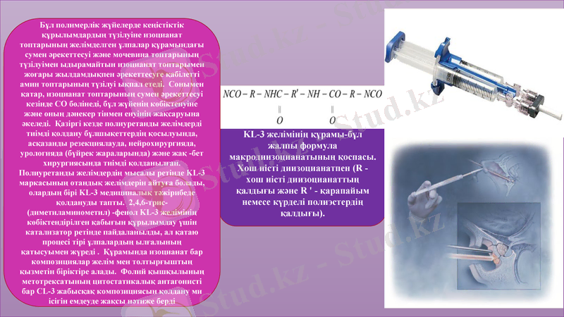 Slide 13