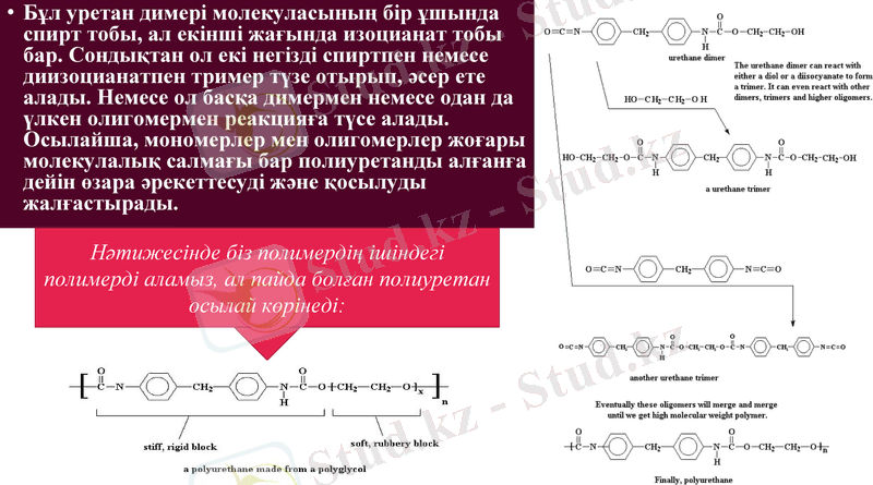 Slide 17