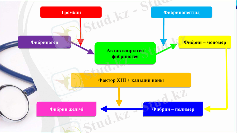 Slide 9