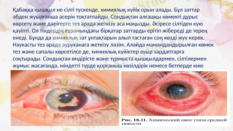 Slide 10