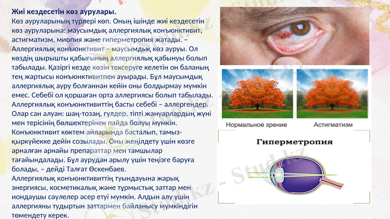 Slide 11