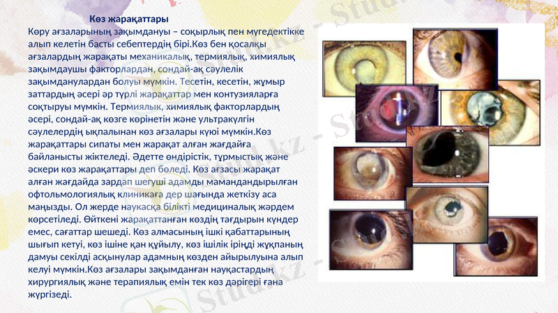 Slide 6