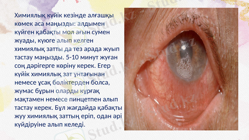 Slide 8