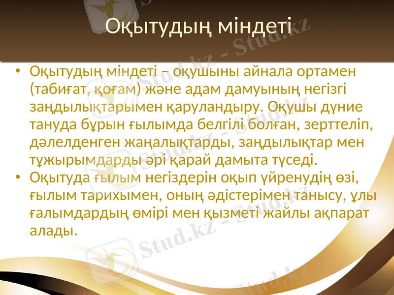 Slide 8