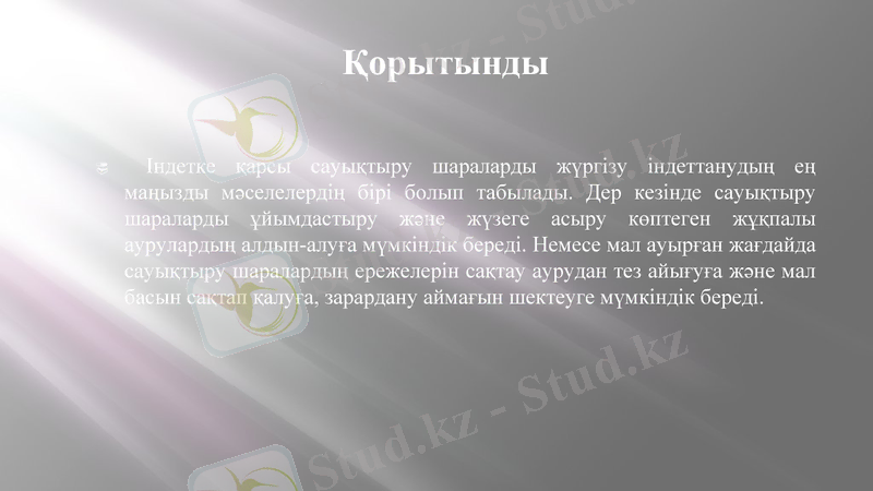 Slide 11