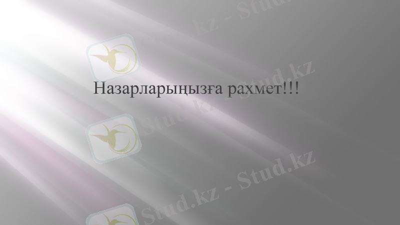 Slide 13