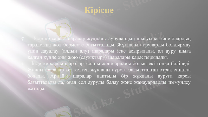 Slide 3