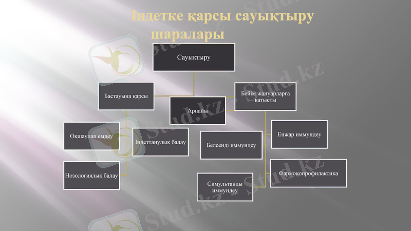 Slide 5