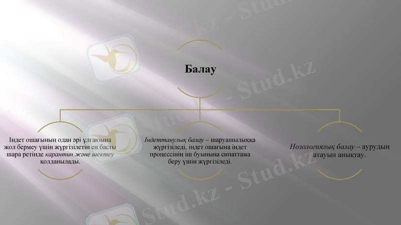 Slide 6